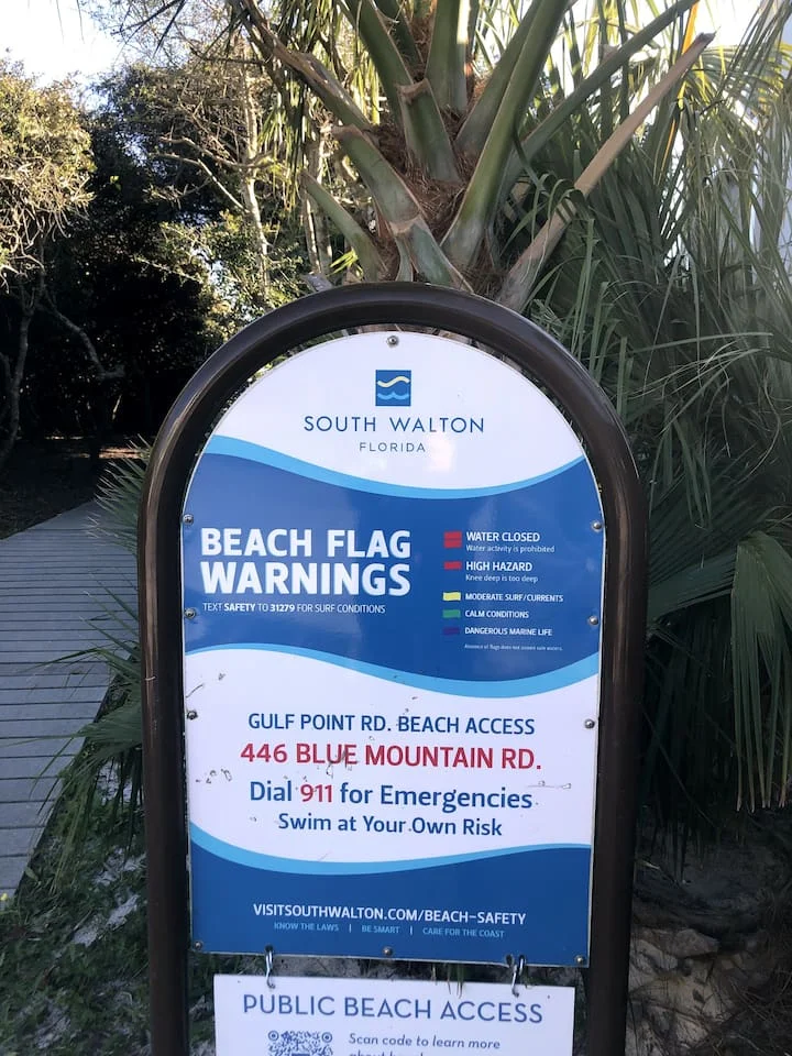 Palm trees and a beach access sign on the walk to the sand for a bachelorette party Blue Mountain Beach