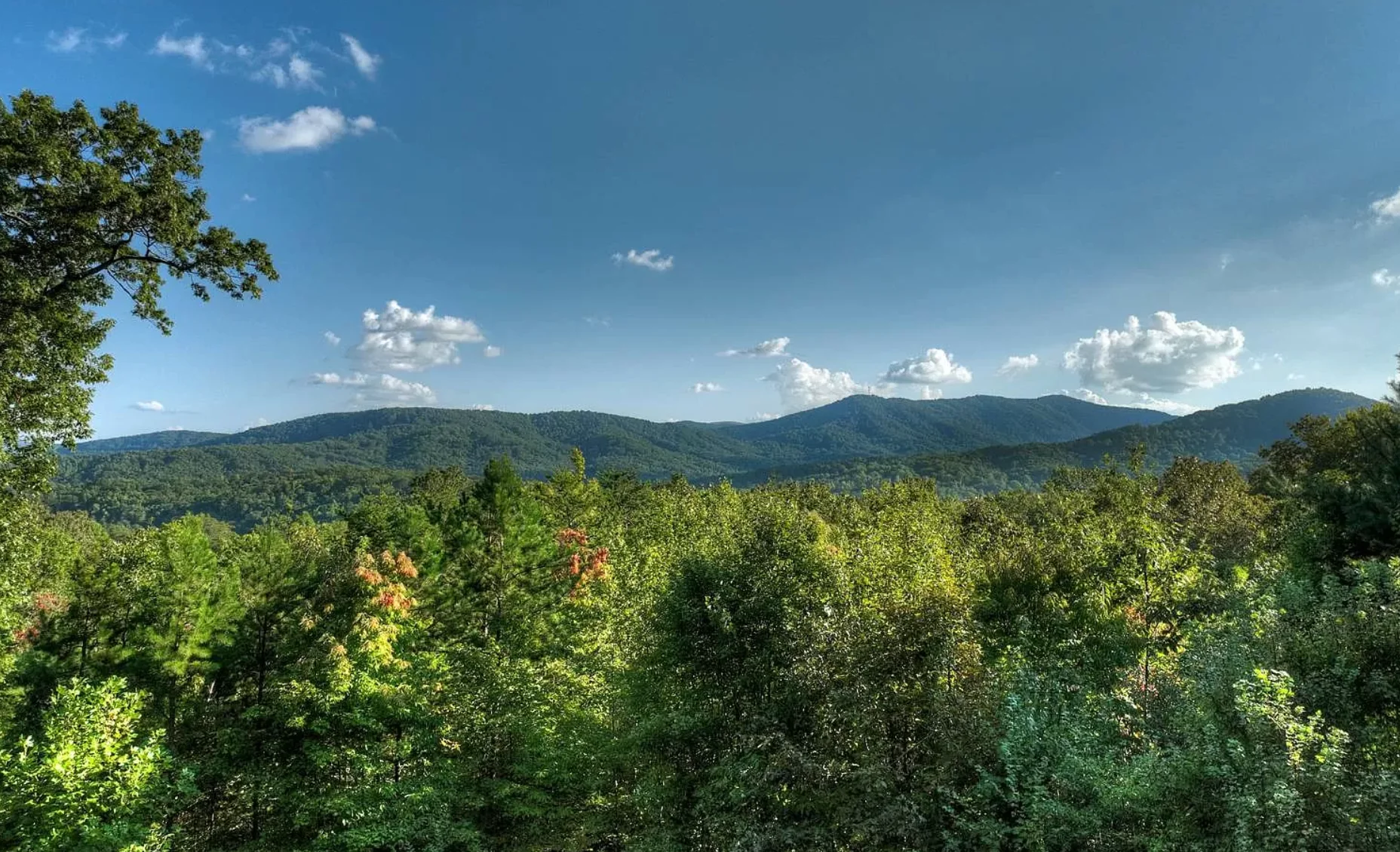 Blue Ridge mountain forest landscape view from Chalet Blue Ridge near Cherry Log Georgia