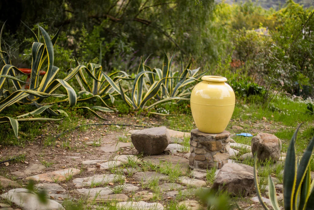 Sunlit garden at Ojai Vacation Home, a private alternative to Ojai hotels