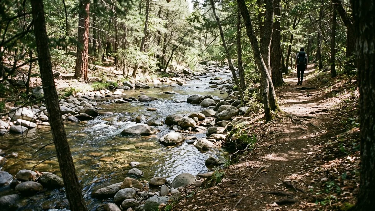 Wooded creek trail that local tips for visiting Broken Bow recommend