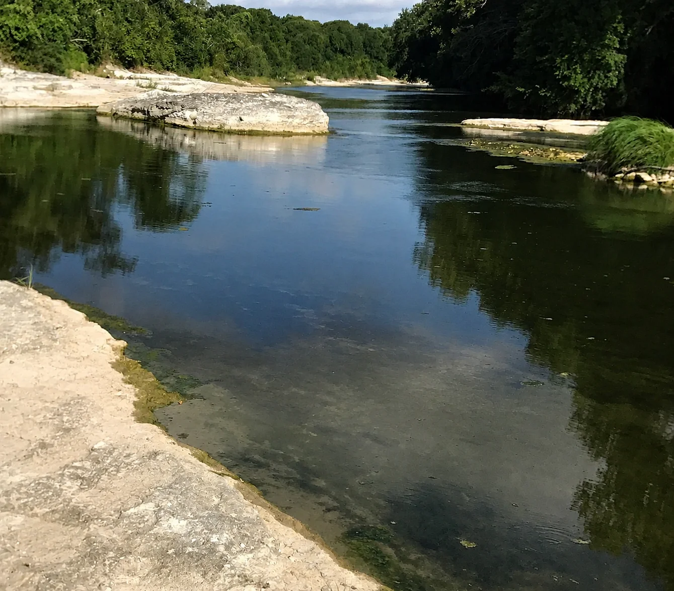 Calm river with limestone banks and green forest, a highlight of a family vacation in Georgetown, TX
