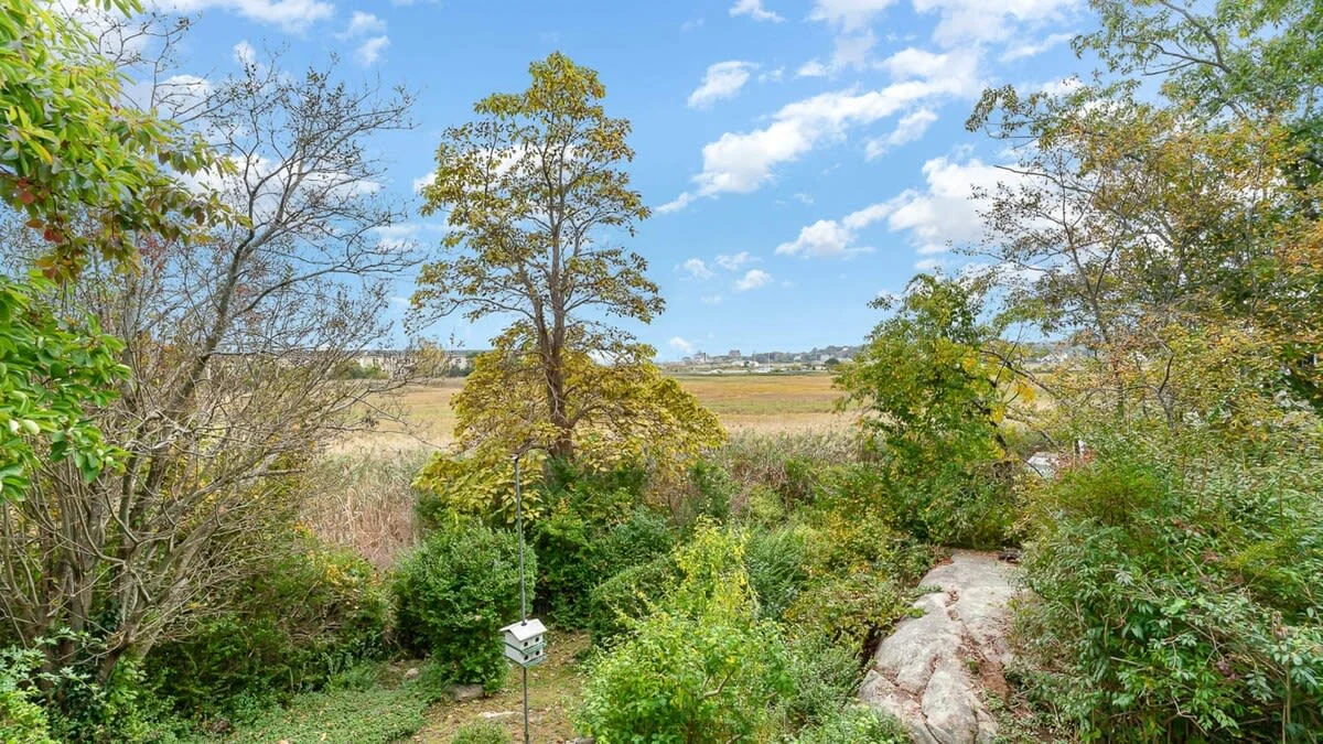 Green fields and trees with ocean views from a Gloucester coastal house rental