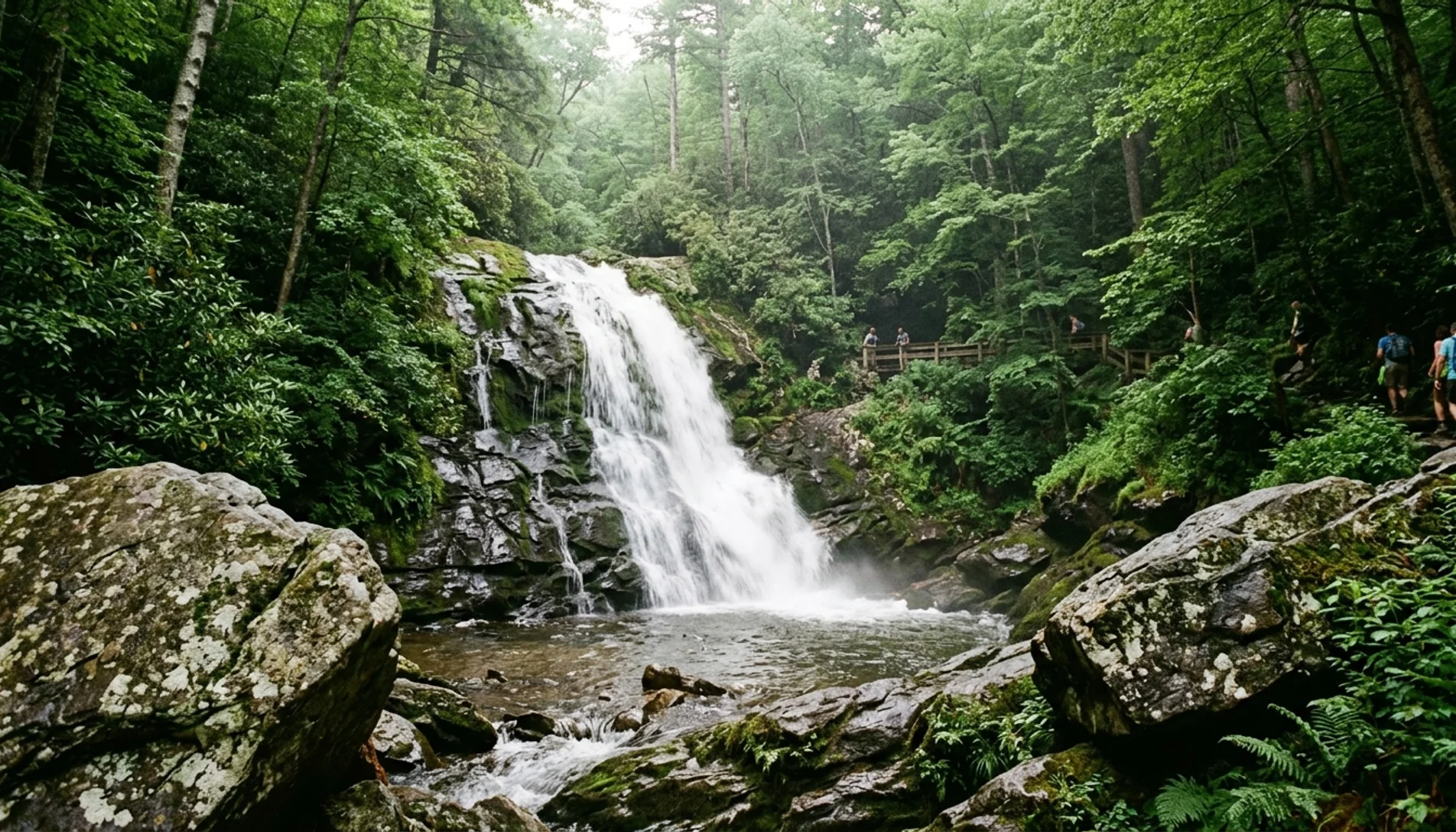 Laurel Falls waterfall in Great Smoky Mountains National Park, an 80-foot cascade surrounded by dense green forest
