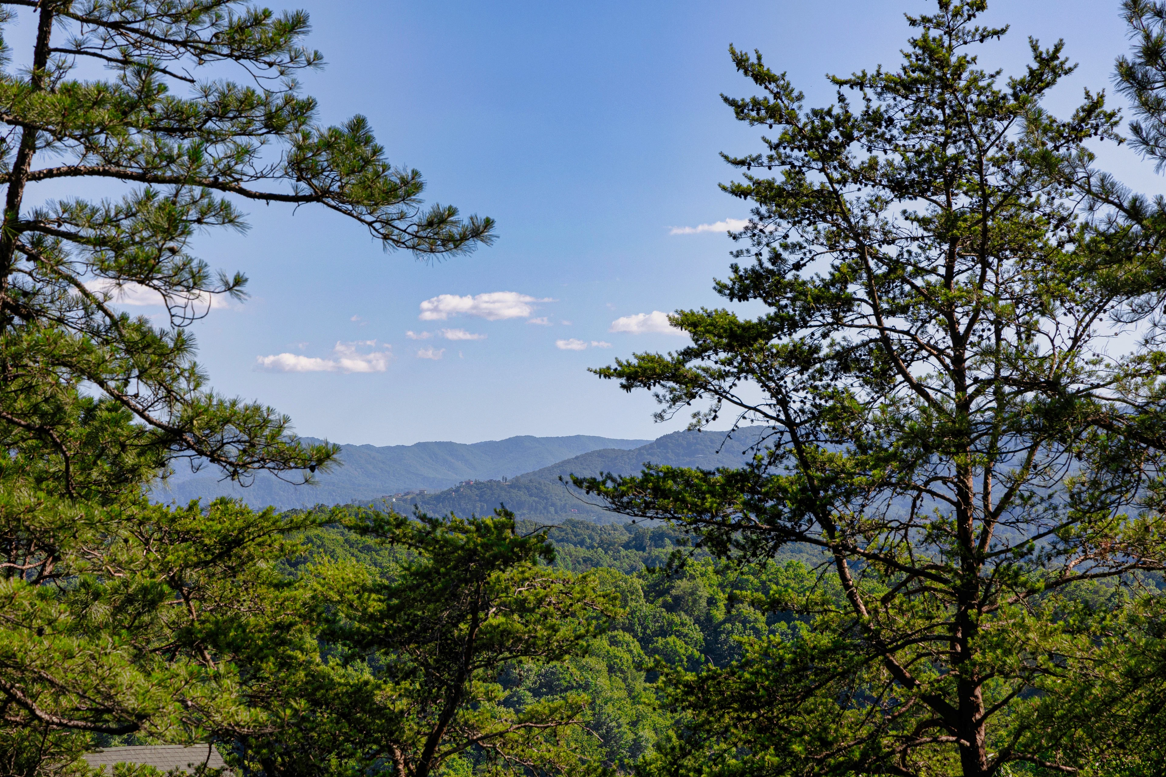 Mountain vista with layered forest canopy and rolling mountains under blue sky in Sevierville, TN