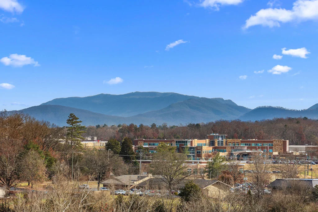 Panoramic view of the Smoky Mountains with colorful buildings and bare trees in foreground