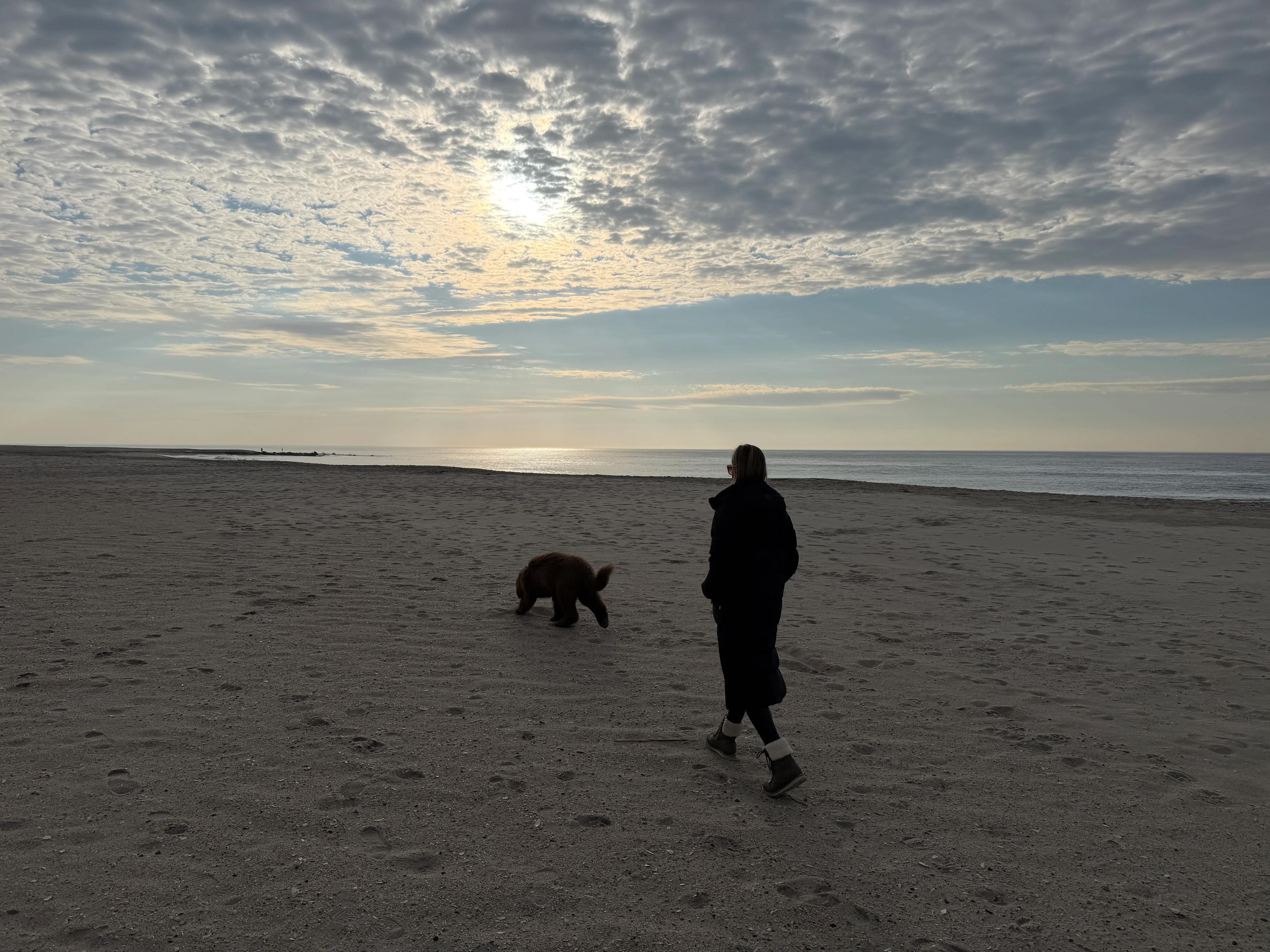 Person and dog enjoying sandy beach at dusk with calm ocean and golden sky reflecting scenic coastal waterfront views