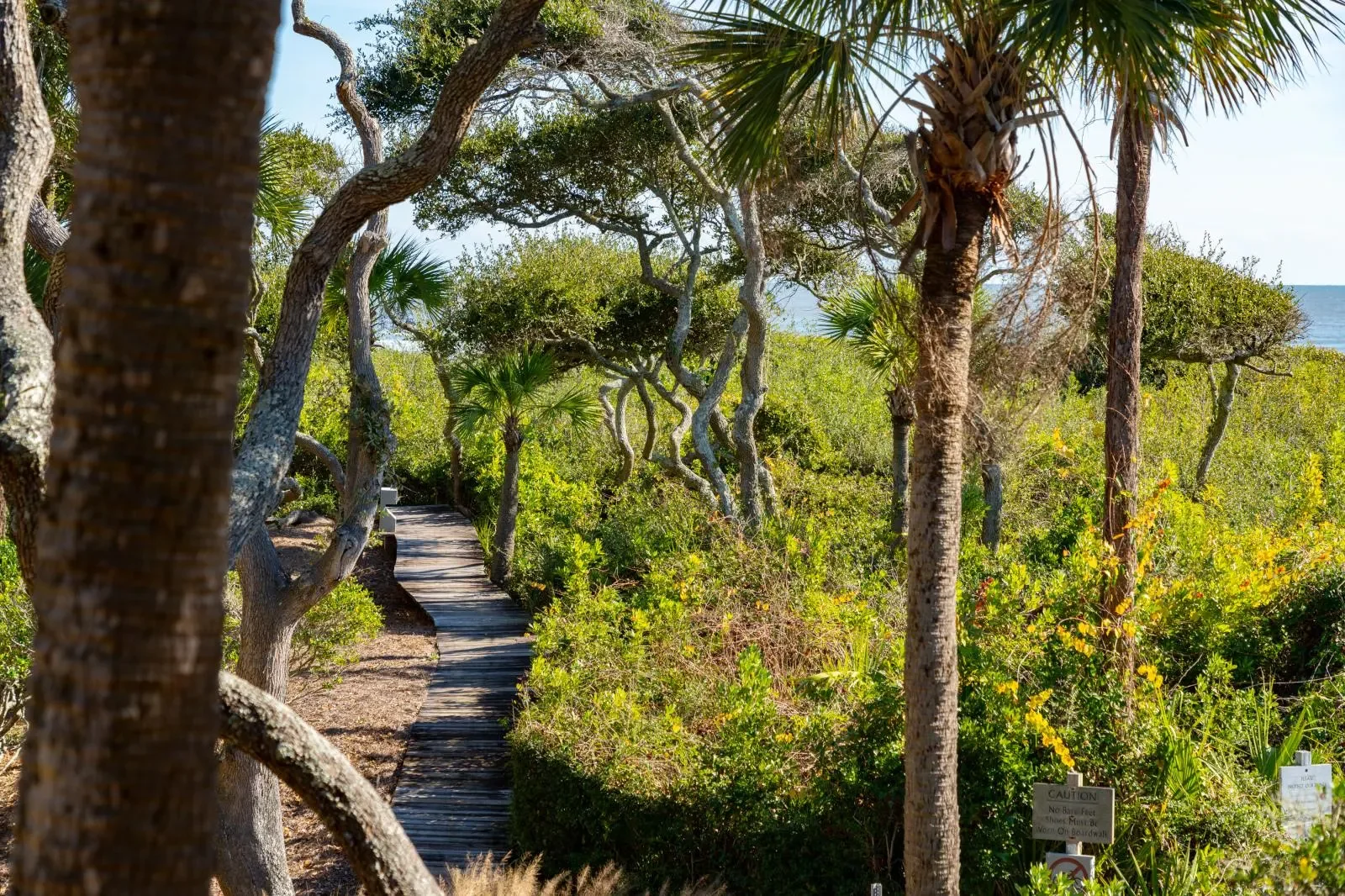 Wooden boardwalk through coastal palm trees and oak with ocean views at Kiawah Island SC vacation rental