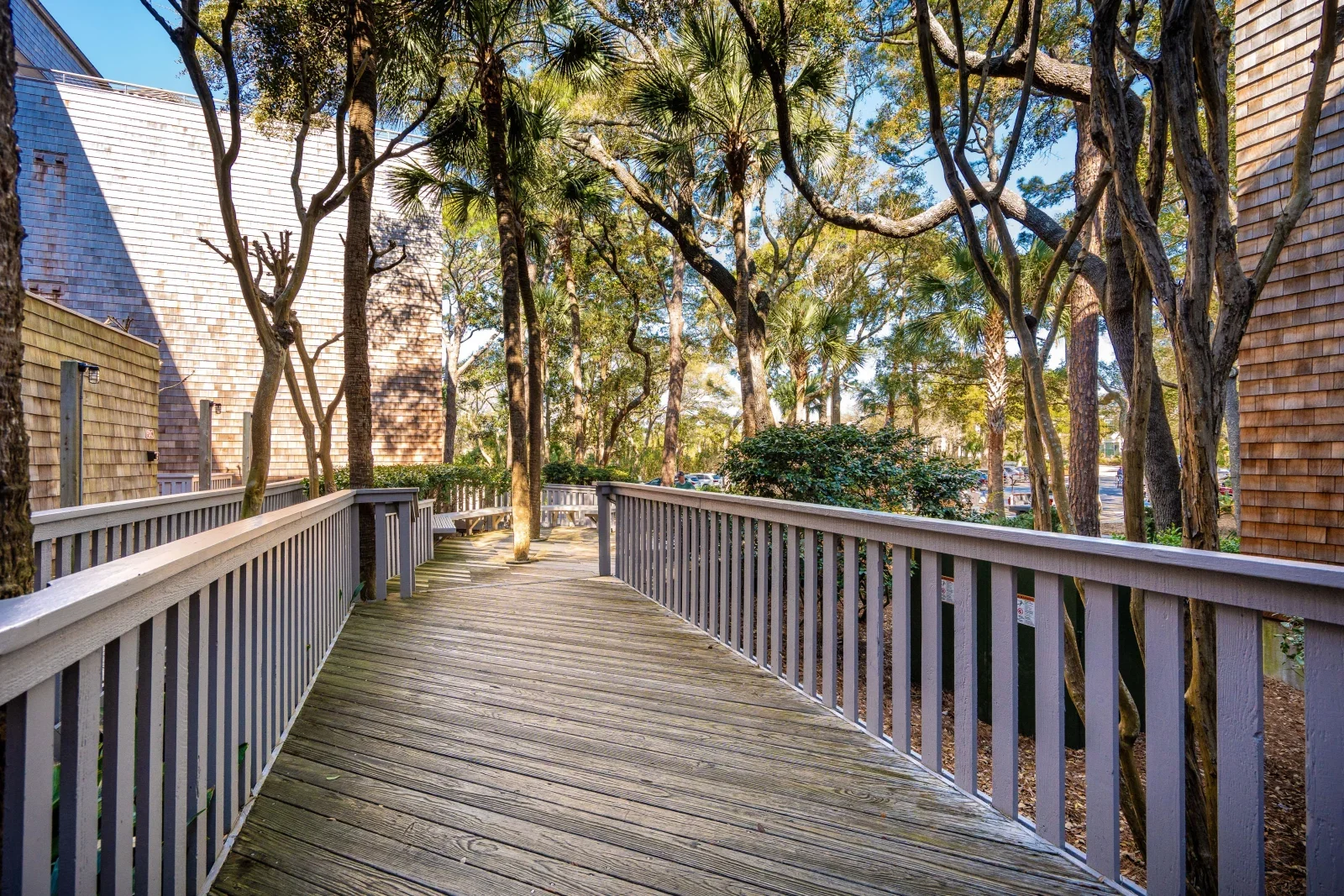 Elevated boardwalk through palmetto forest with dappled sunlight at Kiawah Island beach vacation rental
