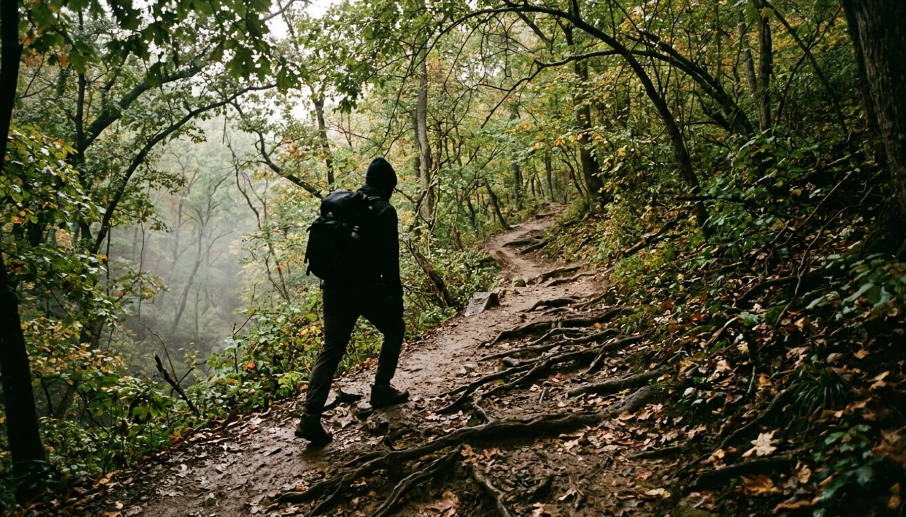 Hiker ascending a steep wooded trail, one of the best hikes near Louisville at Cherokee Park
