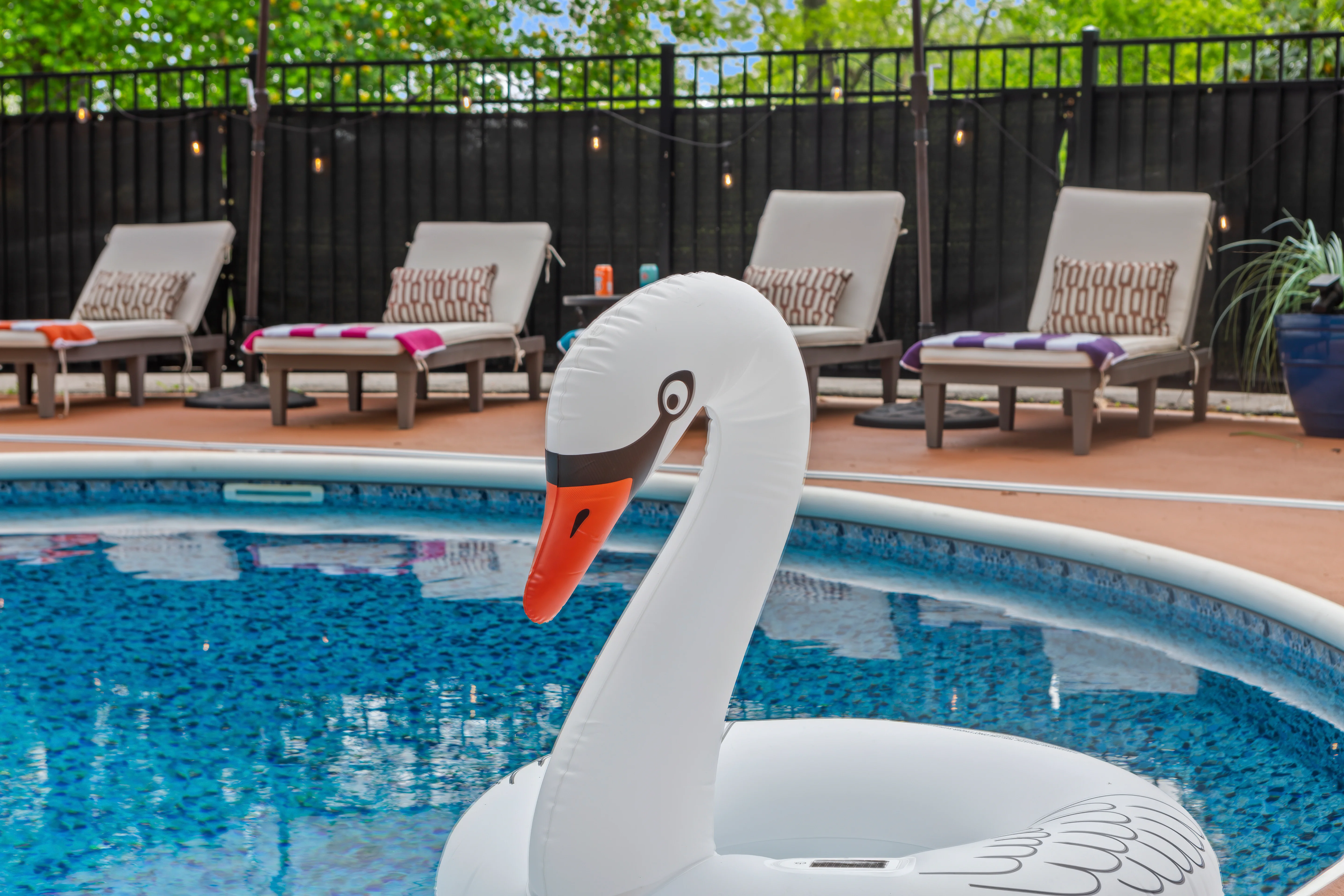 Swan pool float in sparkling blue vacation rental with pool lounge chairs near Louisville KY